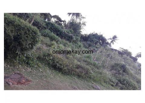 Two lot Land for sale