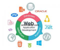 Web Application and Database Systems Development